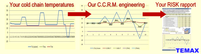 Temax ccrm 005